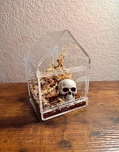 Velvet or Tarantula Sling Enclosure With Sliding, Magnetic Door 4x4x6 - Etsy