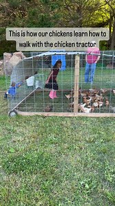 43K views · 41K reactions | Our little bitties love teaching the...