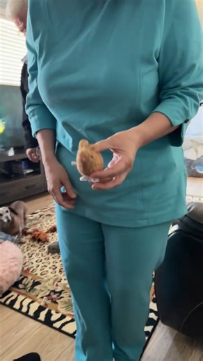 #shorts #cutebaby #kids #funnybaby #kid | Reelshow official