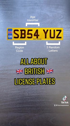 Ethan the License Plate Guy on TikTok