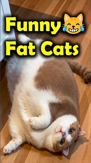 Too Fat Cat Fails! 😹🍔 Chonky Cat Jump Gone Wrong #Shorts