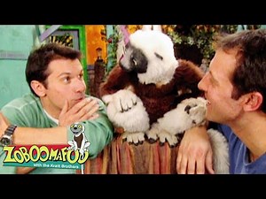 Families | Zoboomafoo - WildBrain | Movies for Kids