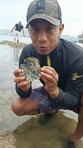 1.7M views · 18K reactions | Diferencia entre un ostión 寧 y una piedra 直 . #ostiones #playa #fypシ | Paco Aventuras | Facebook
