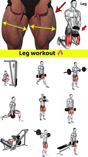Ultimate Leg Day: Best Full Leg Workouts for Strength & Size!