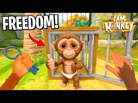 CRAZY MONKEY ZOO Escape The ZOO! (I Am Monkey VR)