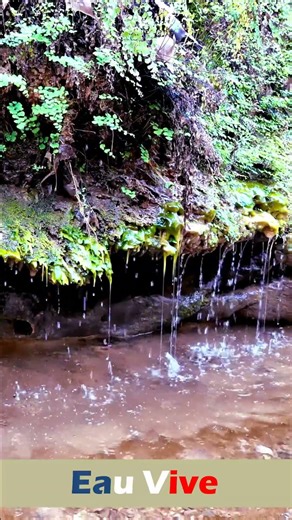 Eau vive Chloé Martin Chanson Romantique