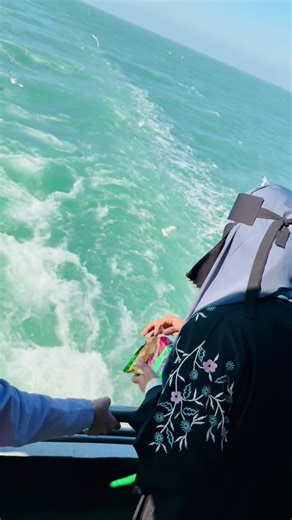 Explore the Beauty of Saint Martin Island