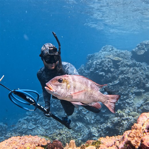244K views · 5.1K reactions | The technique I use when spearfishing to get super smart fish. | Back 2 Basics Adventures | Facebook
