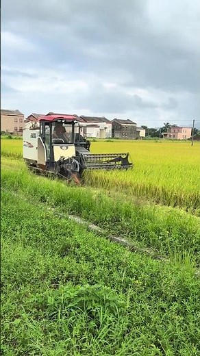 mini harvester machine 😃 #agriculture #minicombineharvester #farm