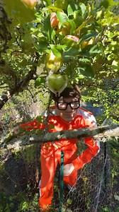 245K views · 3.1K reactions | #vector #illustration #art #vectorart #design #graphicdesign #illustrator #logo #digitalart #artwork #branding | Vectoor Fans | Facebook