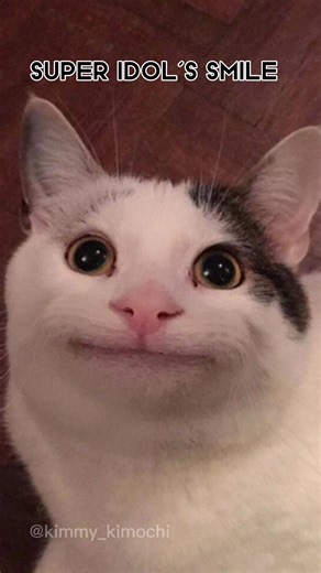 The Ultimate Collection of Hilarious Cat Memes