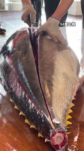 Stunning bluefin tuna cutting skills that will leave you amazed #黑鮪魚 #tunacutting #foodcontent
