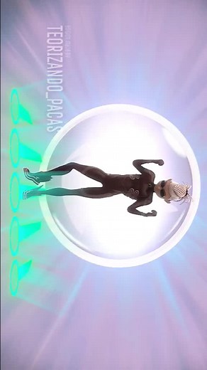 Miraculous Ladybug Pegasus Transformation