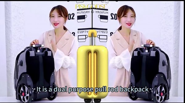 20 Inch Travel Backpack with Wheels, Rolling Backpack for Adults with Wheels, Wheeled Backpack with 15.6 Inch Laptop Waterproof Compartment, Roller Backpack with Password Lock (Grey)