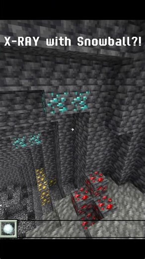 Secret XRAY Trick in Minecraft 😈