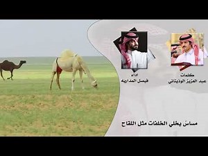 يامجاذب الصوت - فيصل المداريه | (حصرياً) 2024