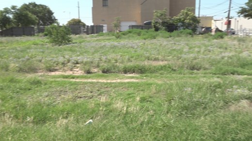 City of Lubbock issuing citations for overgrown weeds