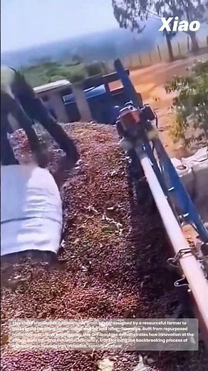 Ingenious Homemade Grain Loader in Action: Simple Machinery Revolutionize Grain Loading onto a truck