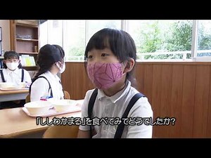 20210916JAありだししわかまる学校給食