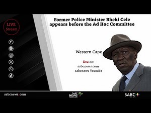 Parliament Ad Hoc Committee | Former Police Minister Bheki Cele