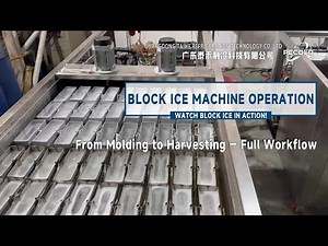 How Block Ice is Made: Full Production Process | Pecold Ice Machine