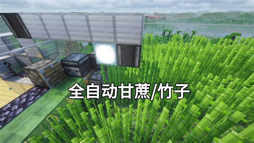 java版自动甘蔗竹子机