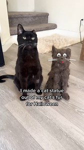 514K views · 10K reactions | I made a cat statue out of my cat's fur for Halloween  #cats #halloween #diyhalloween #diyhalloweendecor #diy #blackcats #funnycats #cutecats #friendlycats #halloweendecor #oneeareduno #twoeareddos | One eared uno | Facebook