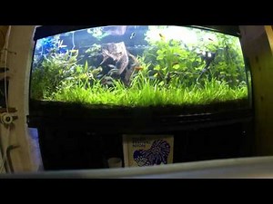 aquatlantis rampe led easy led