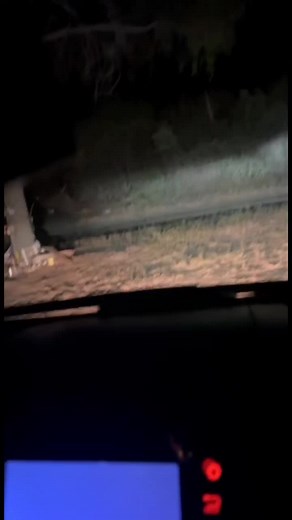 Agustín Gómez (chino) on TikTok