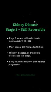 Stage 2 is a critical point — lifestyle and medical care make a huge difference. #kidneydiseasestage2 #ckd #kidneyhealth #renalhealth #awareness #kidneydisease | The Kidney Disease Solution