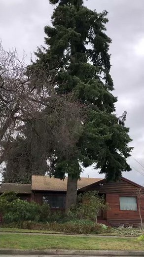 「大草原の」小さな家ではない