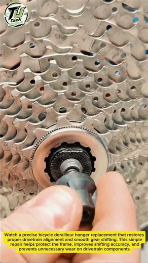 Bike Derailleur Hanger Replacement | Quick Bicycle Repair Guide