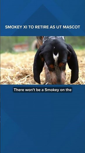 Smokey XI retires as UT mascot