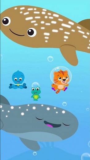 Different types of whale sharks | Ocean Explorers | Baby Einstein | #Shorts | Kids Cartoons