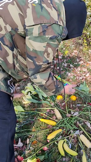 Solar Offering Ritual on 11/11: A Spiritual Journey