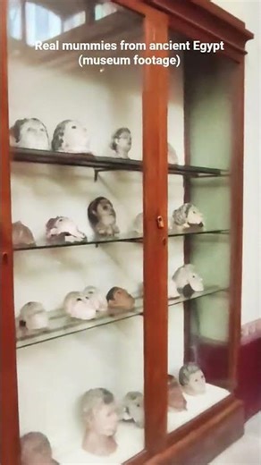 Ancient Egyptian Mummies | Real Museum Footage #shorts