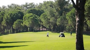 Point Where Golfer Hits Golf Ball 库存影片视频（100% 免版税）1064751856 | Shutterstock