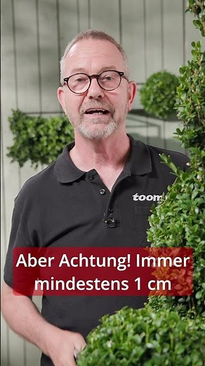 Buchsbaum schneiden: Formen & pflegen leicht gemacht | toom Pflanzentipps #shorts #pflanzentipp