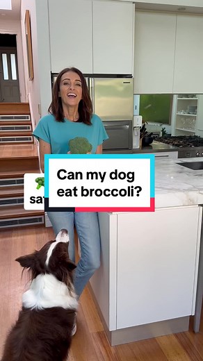 Is Broccoli Safe for Dogs? Understanding Dietary Guidelines