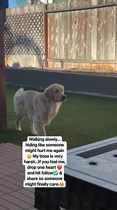 78K views · 6.7K reactions | Walking slowly… hiding like someone...