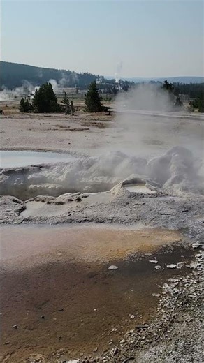 Chasing Geysers! #yellowstonepark #geyser #hiking #nationalpark #yellowstone #nature