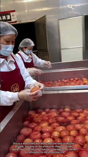 Tomato Sauce Production Process | Efficient Factory Workers at Work