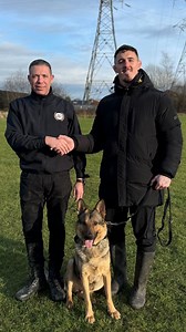 207K views · 6.6K reactions | Welcome to the pack, Olympus  @totalk9ltd Still working on my training 藍 Full vid available on my YouTube channel tonight at 7 亂 . #dog #protectiondog #reels #funnyvideos #tomaspinall | Tom Aspinall | Facebook