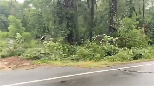 335K views · 2.4K reactions | BOSSIER PARISH TORNADO DAMAGE: This is near La 157 at La 527. This is east of Taylortown near the 4-Way Country Club convenience store. Patricia Davis sent this to me. This is the confirmed tornado that continued moving to the NW over I-20 near the Haughton/Stockwell area into northern Bossier Parish. #Beryl | Doug Warner | Facebook