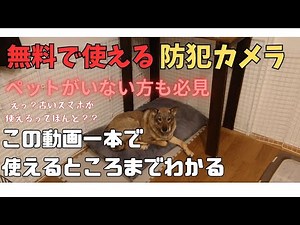 【永久保存版】AlfredCamera 無料で使える防犯カメラの使い方 テツロウ日記 PART9