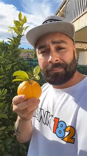 🍧🍎🍎🍎🤤ASMR AMERICA'S CABBAGE ORIGINAL DUBBLE BUBBLE GUM (3 FRUIT FLAVORS)AND EATING SOUNDS