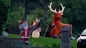 Bear cub vs inflatable reindeer: Watch as bear takes on lawn decoration