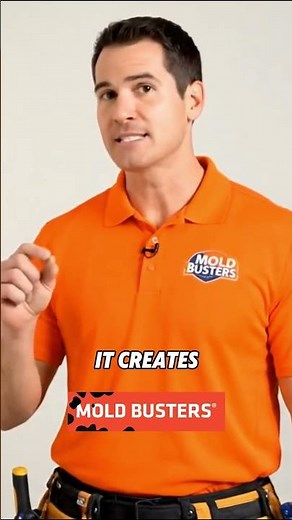 What causes black mold - Mold Busters