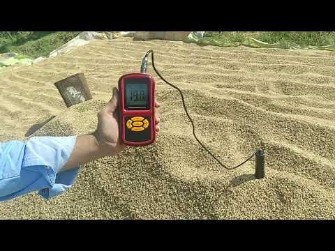 Digital Portable Grain Moisture Meter with Probe for Paddy, Rice