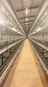 348K views · 4.7K reactions | On n’investit pas plus de 300 000$ dans...